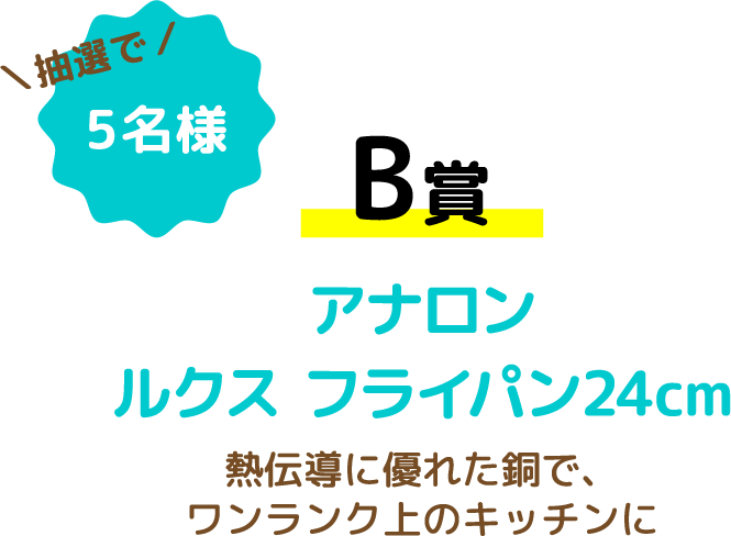 【B賞】アナロンルクス フライパン24cm 熱伝導に優れた銅で、ワンランク上のキッチンに