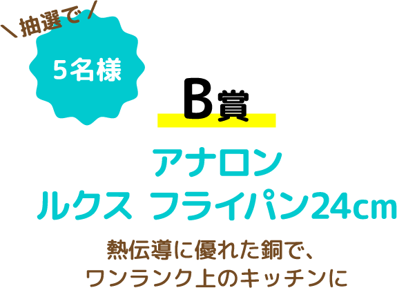【B賞】アナロンルクス フライパン24cm 熱伝導に優れた銅で、ワンランク上のキッチンに